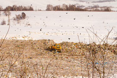 Similar image 21965394