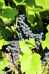 Similar image 21968421