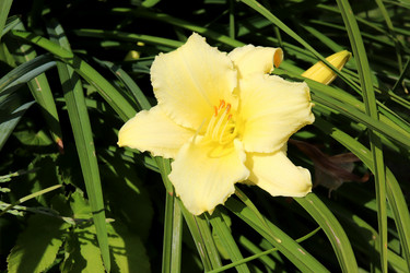 Similar image 21968423