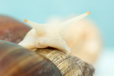 Similar image 21952970