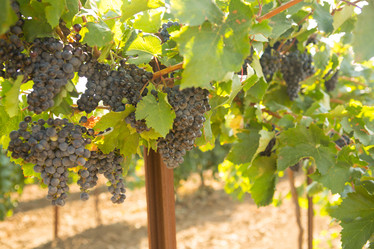 Similar image 21952974