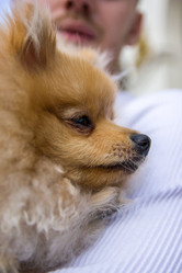 Similar image 21953139