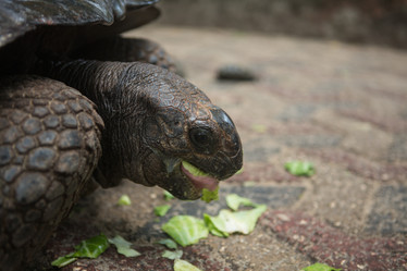 Similar image 21953140