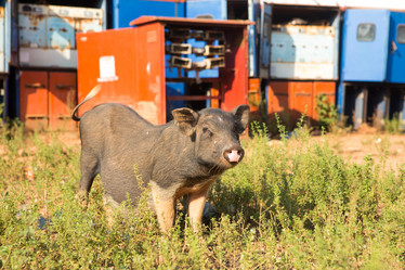 Similar image 21953141