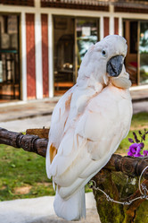 Similar image 21954343