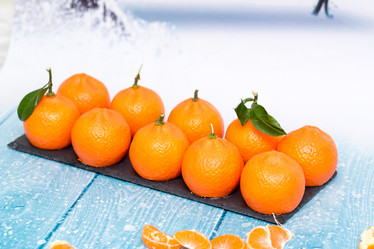 Similar image 21954574