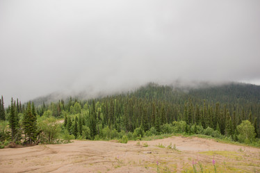 Similar image 21954806