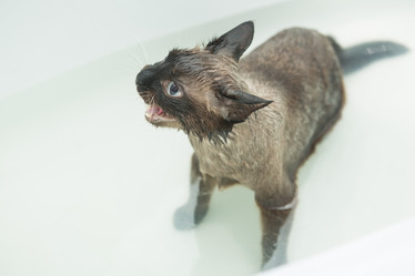 Similar image 21954808