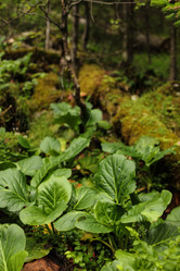 Similar image 21954811