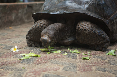 Similar image 21955194