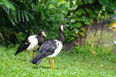 Similar image 21955196