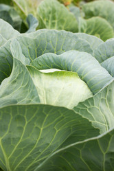 Similar image 21952975