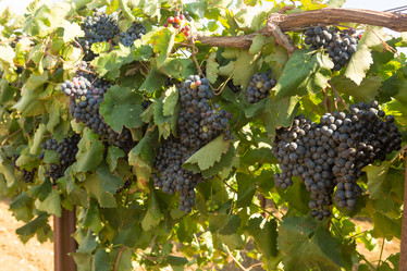 Similar image 21952978