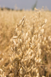 Similar image 21952979