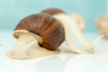 Similar image 21952727