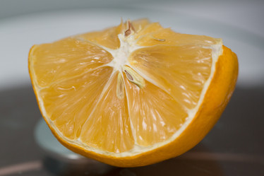 Similar image 21954586