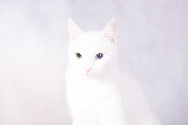 Similar image 21954815