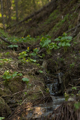 Similar image 21965132