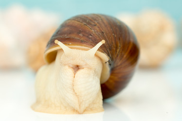 Similar image 21965135