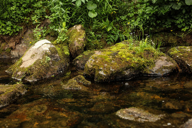 Similar image 21965136