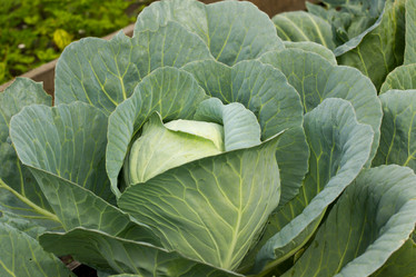 Similar image 21965137