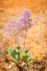 Similar image 21965140