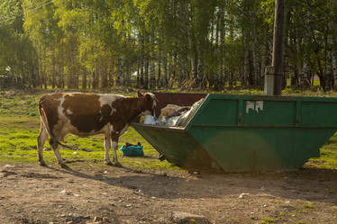 Similar image 21954591