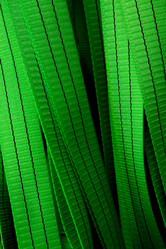 Similar image 21952992