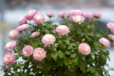 Similar image 21953148