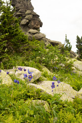 Similar image 21953156