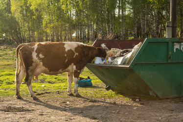 Similar image 21954103