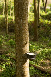 Similar image 21954113