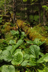 Similar image 21953002