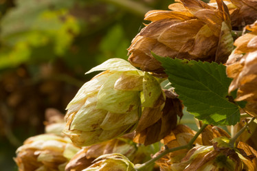 Similar image 21953003