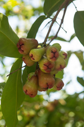 Similar image 21953161