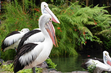 Similar image 21953164