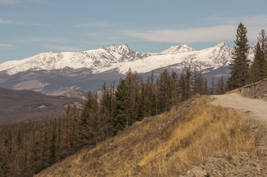 Similar image 21954595