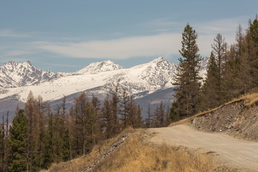 Similar image 21954603