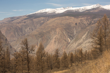 Similar image 21954822