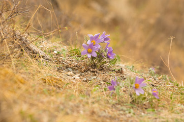 Similar image 21954826