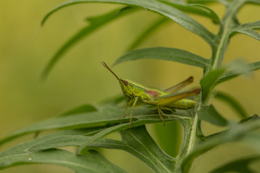 Similar image 21954827