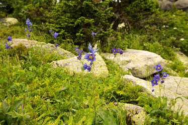 Similar image 21954828