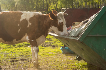 Similar image 21954829