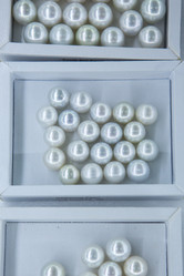 Similar image 21955205