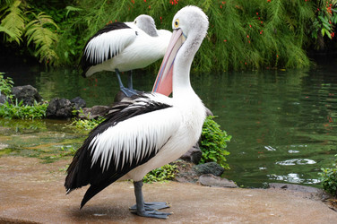 Similar image 21955265