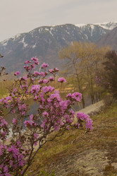 Similar image 21952733