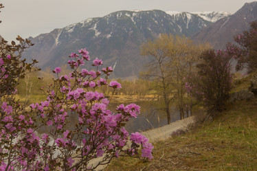 Similar image 21952838