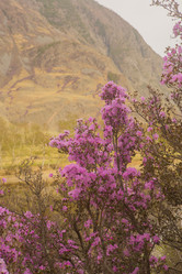 Similar image 21952840