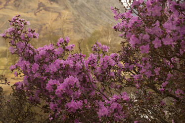 Similar image 21952842