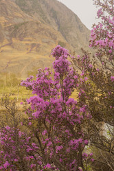 Similar image 21953004